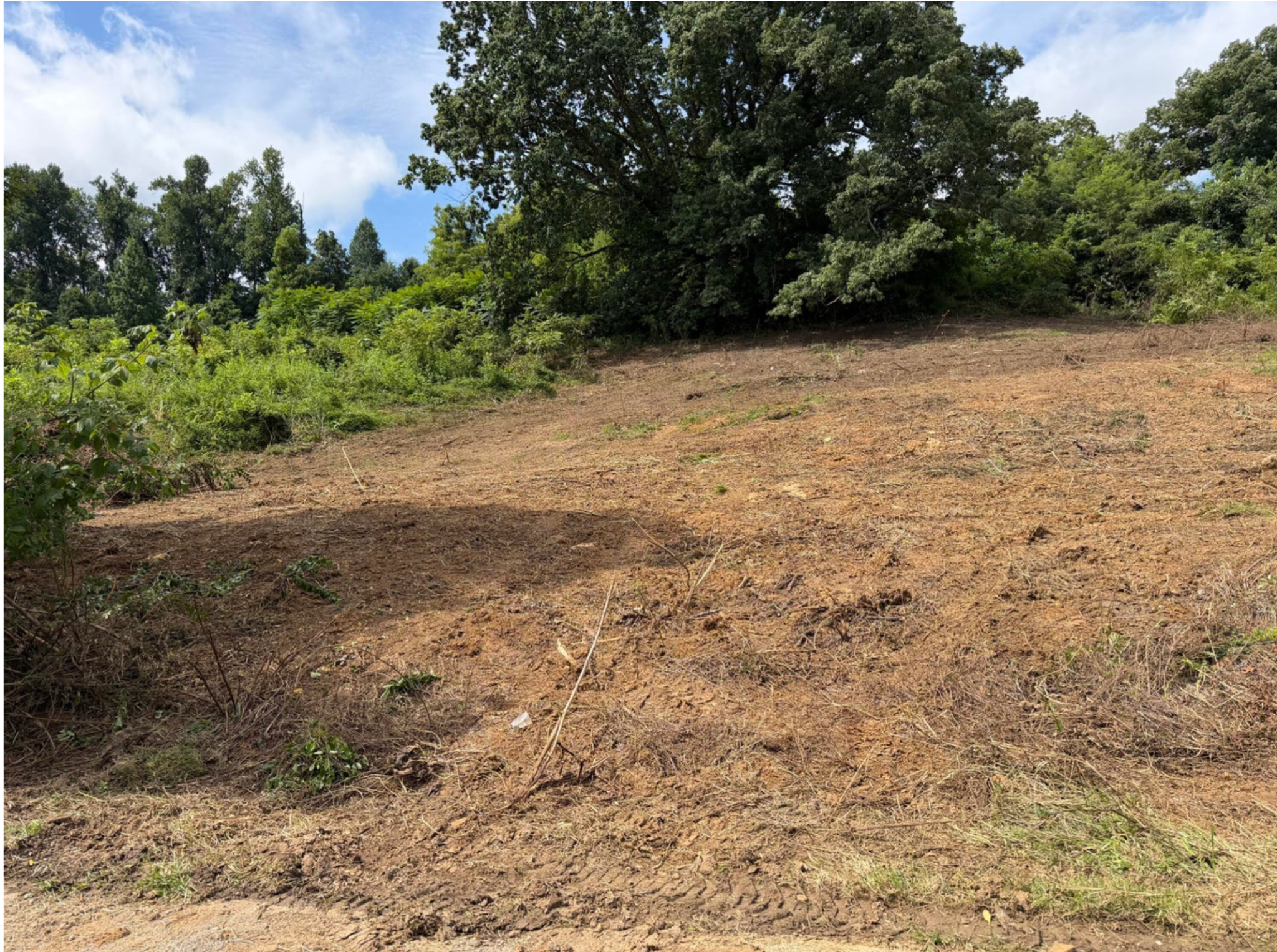 Coral Lane Lot 44, Castle Ridge Subdivision, Mount Vernon KY